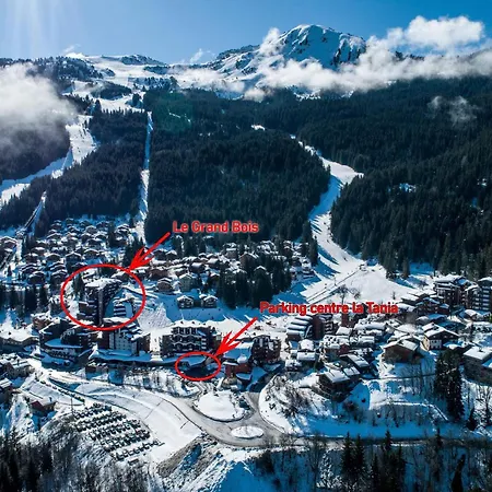 La Tania : 2 Pieces Cabine, 6 Pers, Balcon, Tv, Non-fumeur - Fr-1-182a-35 Apartmán *